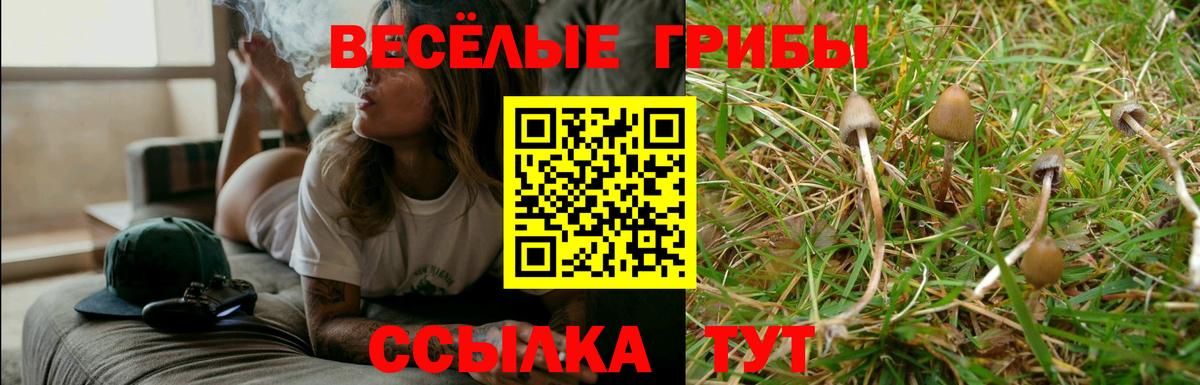 Галлюциногенные грибы Psilocybe  Вход с VPN  Электрогорск 